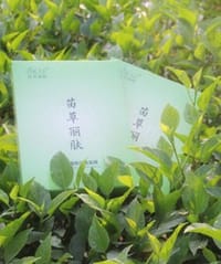 苗草丽肤