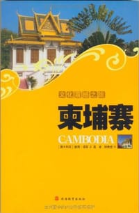 书籍 文化震撼的封面