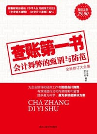 查账第一书全新修订大全集 - 申先菊