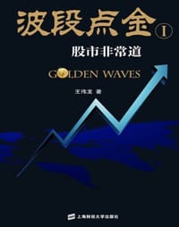 波段点金 - 王伟龙