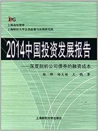 2014中国投资发展报告 - 杨晔