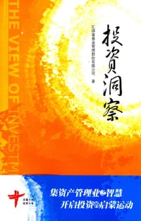 书籍 投资洞察的封面