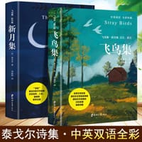 书籍 飞鸟集新月集泰戈尔诗选的封面