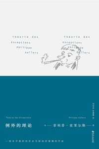 书籍 例外的理论的封面
