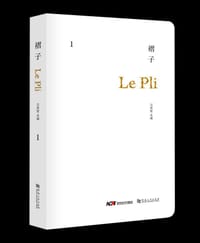 书籍 褶子的封面