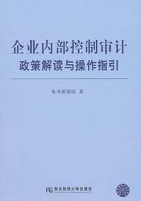企业内部控制审计政策解读与操作指引