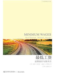 书籍 最低工资的封面