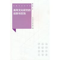 青年文化研究的创新与实践