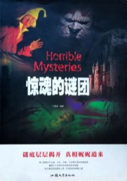 惊魂的谜团