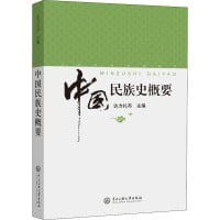 书籍 中国民族史概要的封面
