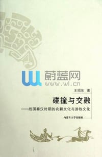 书籍 碰撞与交融的封面