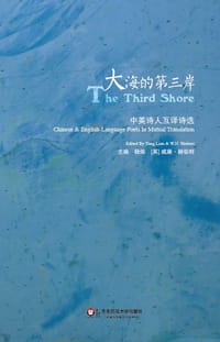 书籍 大海的第三岸的封面