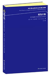 书籍 孤岛不孤的封面