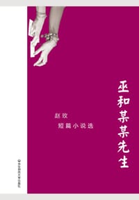 书籍 巫和某某先生的封面