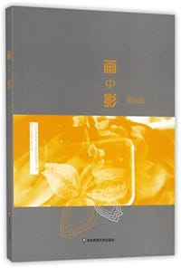 书籍 画中影的封面