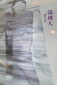 书籍 深圳人的封面