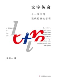 书籍 文字传奇的封面