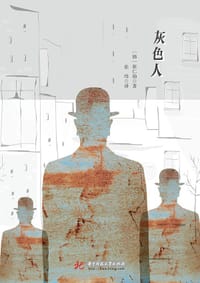 书籍 灰色人的封面