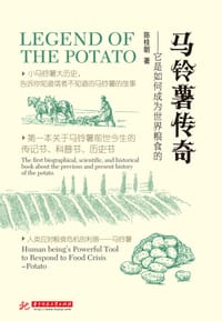 马铃薯传奇 - 陈桂朝