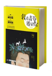 我在青春遇见你 - 徐雍