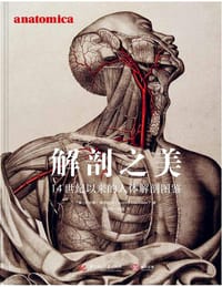 解剖之美