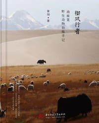 御风行者 - 黄剑