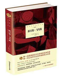 书籍 诺贝尔文学奖大系——新月集·飞鸟集的封面