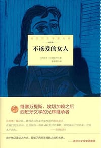 书籍 不该爱的女人的封面