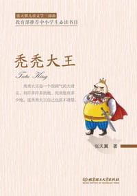 书籍 秃秃大王的封面