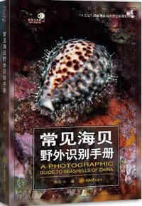 常见海贝野外识别手册