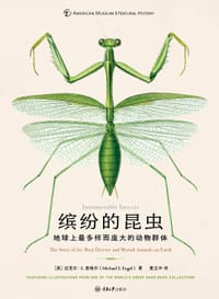 缤纷的昆虫