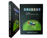实用法医昆虫学