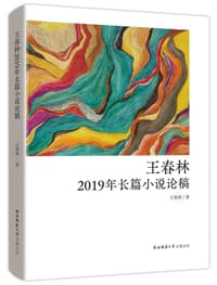 书籍 王春林2019年长篇小说论稿的封面