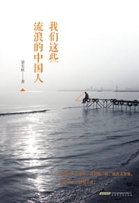 书籍 我们这些流浪的中国人的封面
