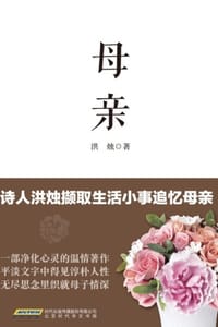 书籍 母亲的封面