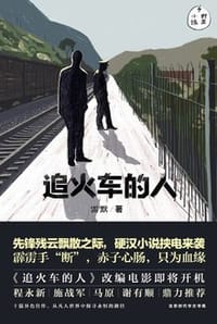 书籍 追火车的人的封面
