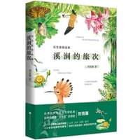 书籍 溪涧的旅次的封面