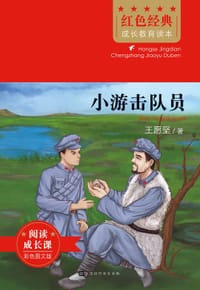 书籍 小游击队员的封面