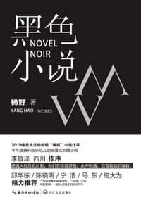 书籍 黑色小说的封面