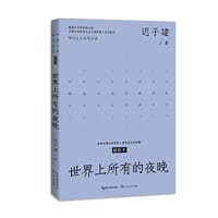 世界上所有的夜晚（中篇小说经典系列） - 迟子建  著