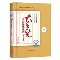 大手笔是怎样炼成的 语言篇：修订升级版 - 谢亦森 著