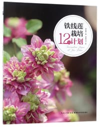 铁线莲栽培12月计划