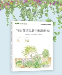 背阴花园设计与植物搭配