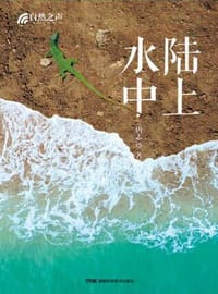 陆上水中