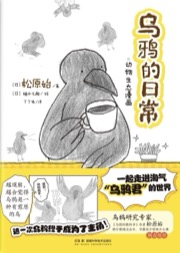 乌鸦的日常