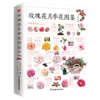 玫瑰花月季花图鉴