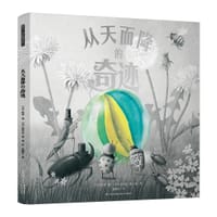 从天而降的奇迹 - 〔美〕特里•范