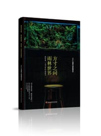 方寸之间，雨林世界