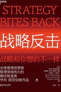 书籍 战略反击的封面