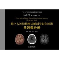 数字人连续横断层解剖学彩色图谱-头颈部分册 - 无